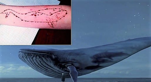 Jogo Baleia Azul: Eu tentei jogar o Blue Whale de suicídio e o resultado é  surpreendente