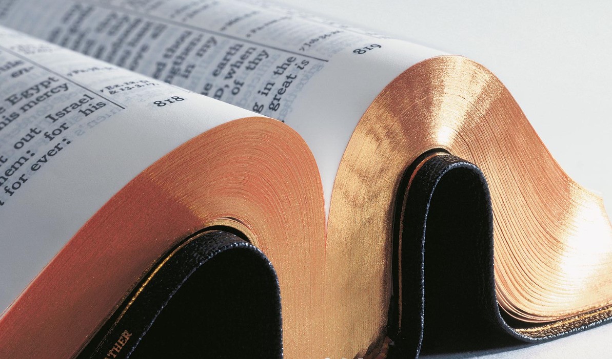 Dia da Bíblia: a origem da data e como as Escrituras influenciam o mundo -  Guiame