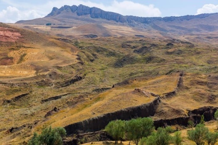 Campos de Altitude « A Última Arca de Noé