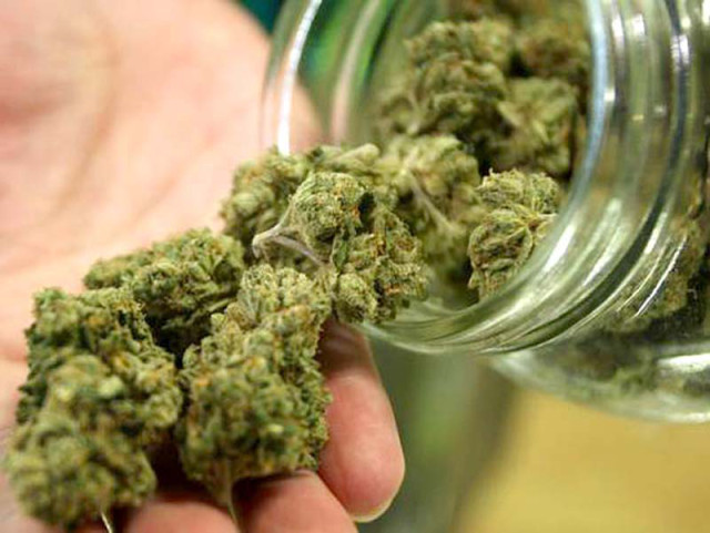 Maconha