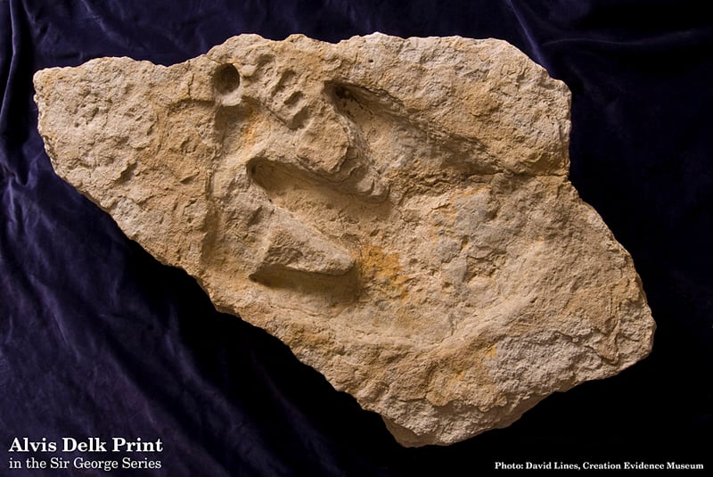 Pegada 'Burdick Track'. (Imagem: Creation Evidence Museum)