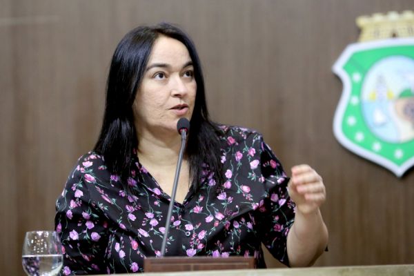 Ela, que também é pastora, apresentou diversas emendas retirando os termos da proposta. (Máximo Moura / AL-CE).