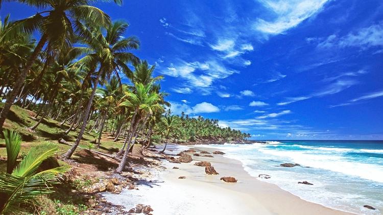 8 praias incríveis para conhecer na Bahia