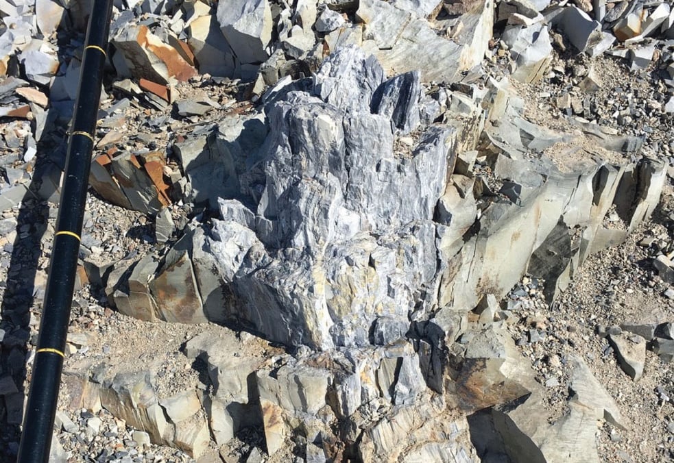Árvores fossilizadas foram encontradas nos Montes Transantárticos da Antártica. (Foto: Copyright © 2017/ E. Gulbranson)