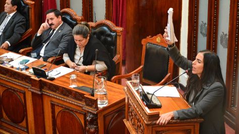 Presidente da Câmara dos Deputados, Gabriela Montaño, durante a sessão. (Foto: Câmara dos Deputados)