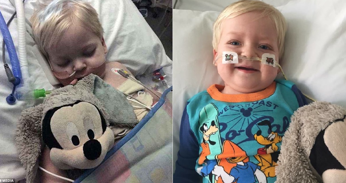 Dylan despertou do coma cerca de duas horas antes de seus aparelhos serem desligados no hospital. (Imagem: Daily Mail)