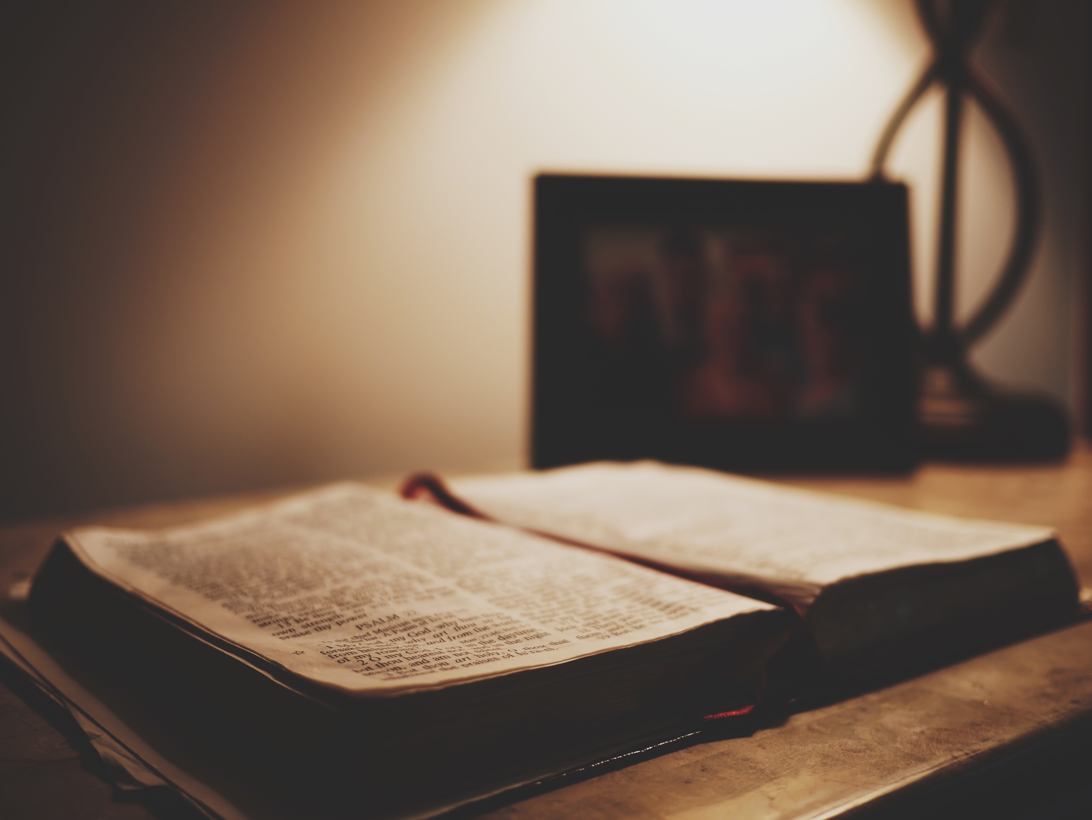 (Foto: Aaron Burden/Unsplash)