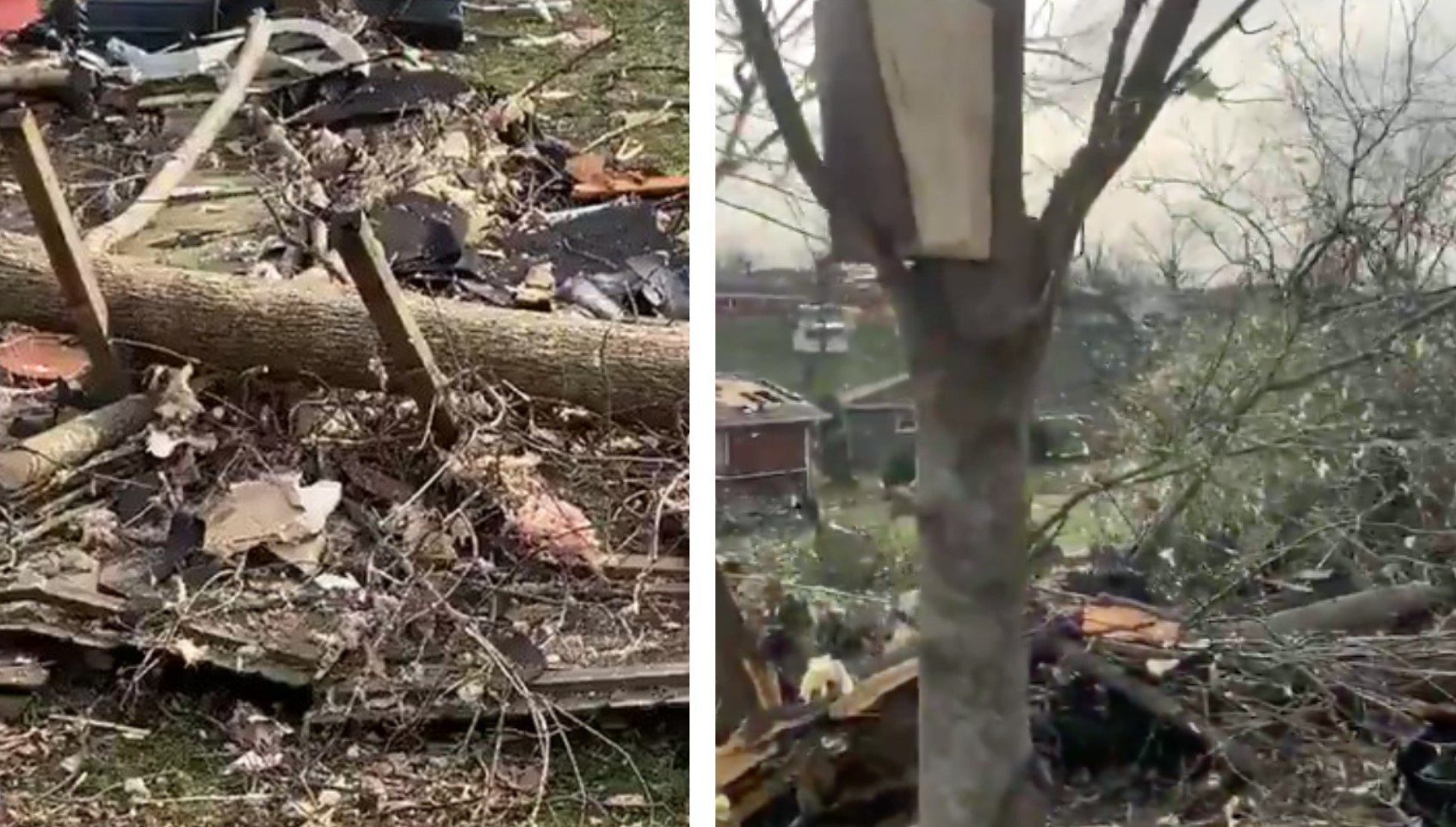 Bíblia encontrada em árvore: intacta após tornado. (Foto: Reprodução/Big Cee O’Neal)