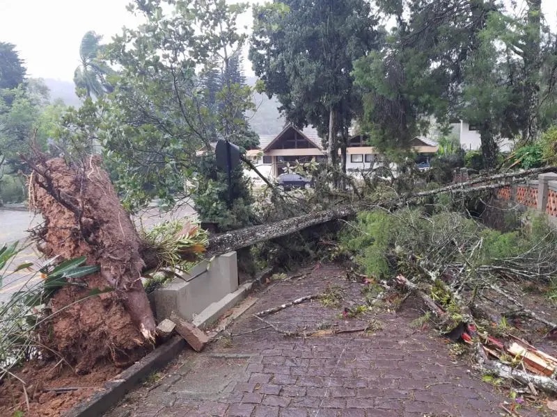 Entrada da Comunidade Luterana do Centro de Blumenau fica destruída pela passagem do ciclone extratropical. (Foto: Reprodução/Milton Jandrey/Facebook)