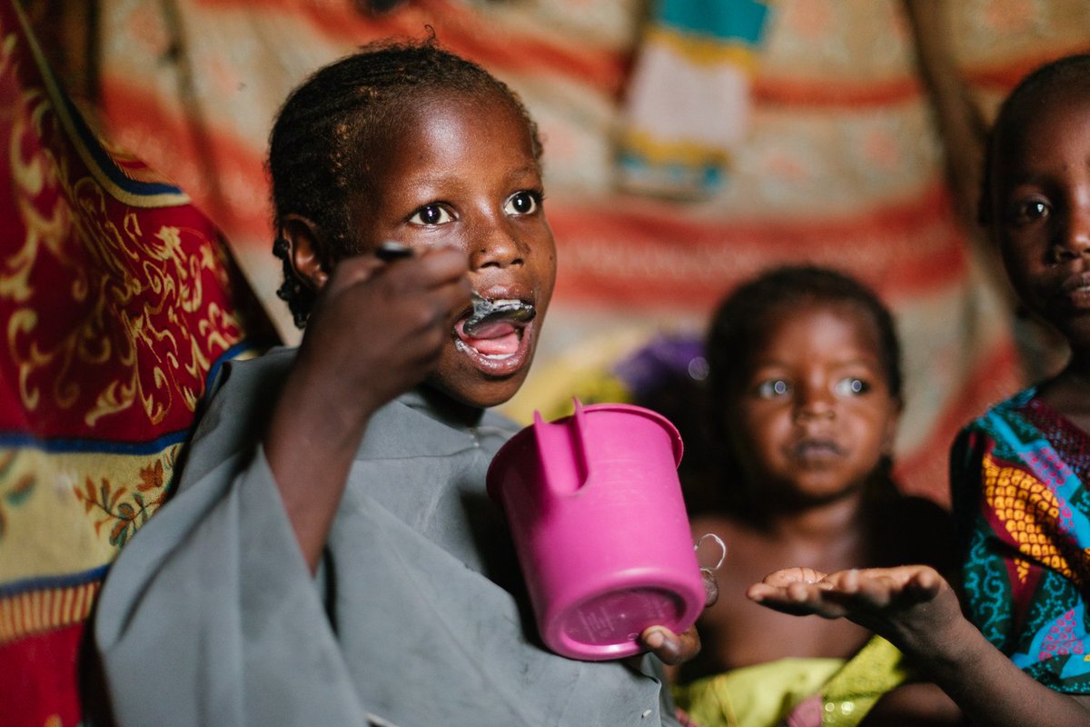 Mais de 9.000 famílias da Nigéria não sabem o que irão comer e de onde virá o alimento. (Foto: ACF Nigeria)