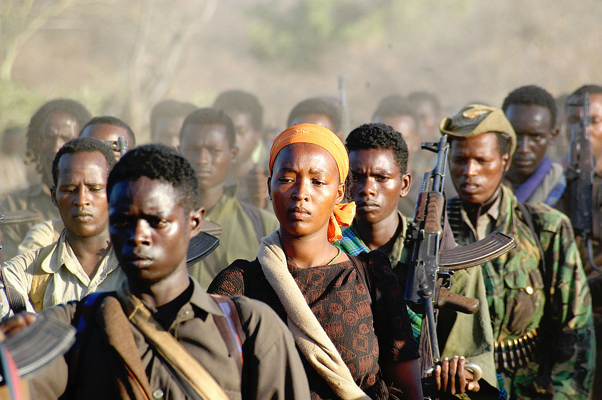 Governo etíope pediu ao povo para pegar em armas e lutar contra rebeldes. (Foto representativa: Wikimedia Commons)