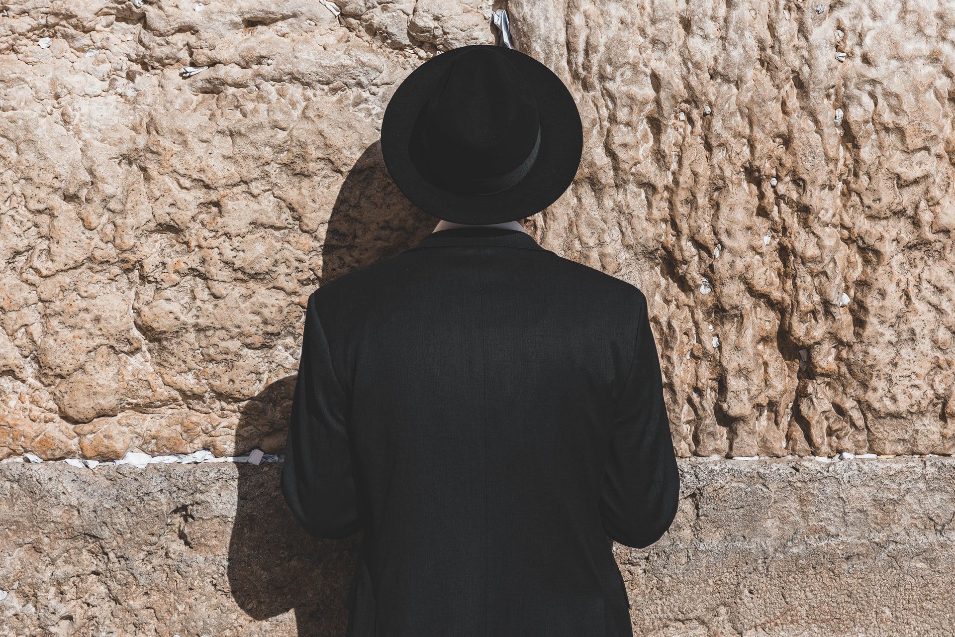 (Foto: Unsplash/Dave Herring)