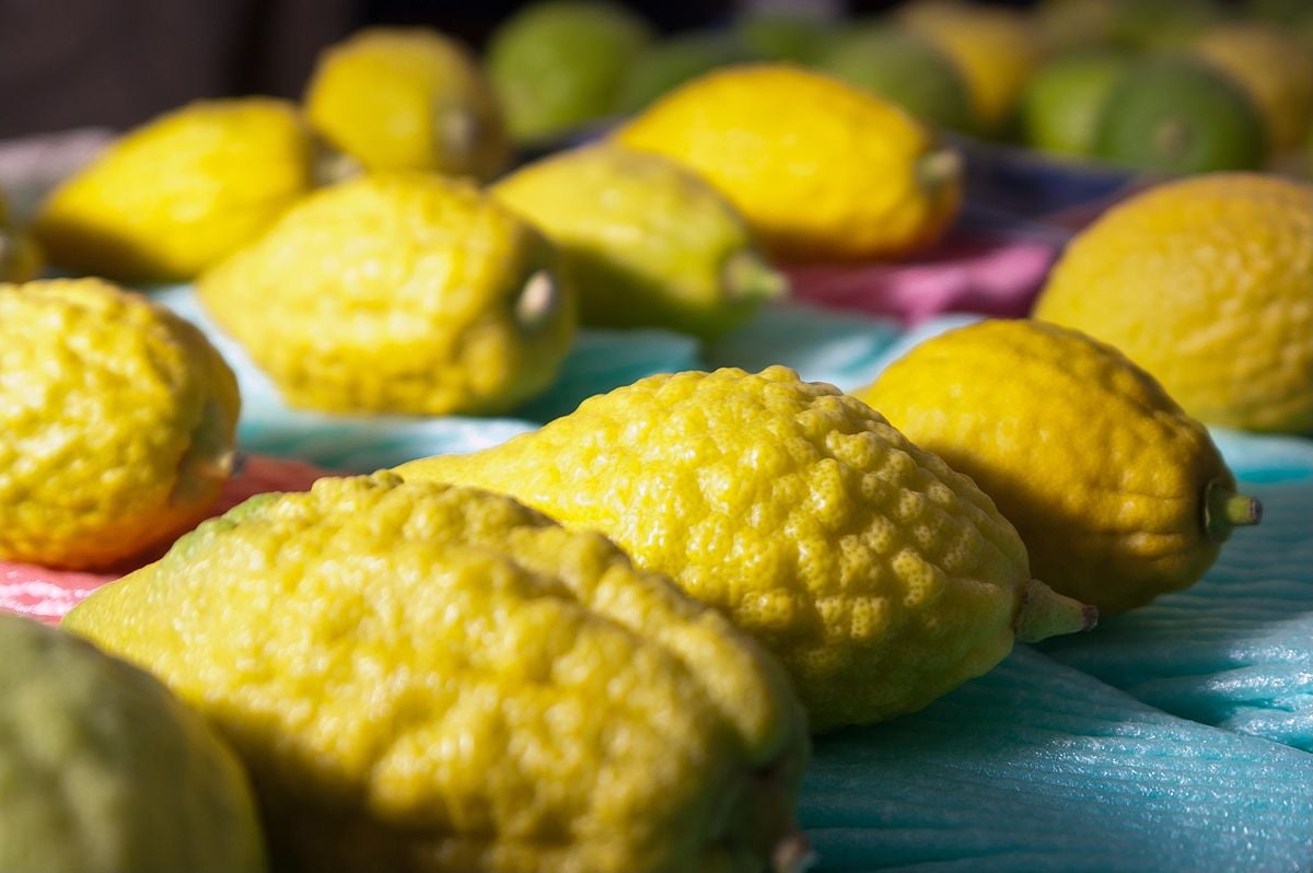(Foto: Mazkeret Batia, Israel/Creative Commons)
