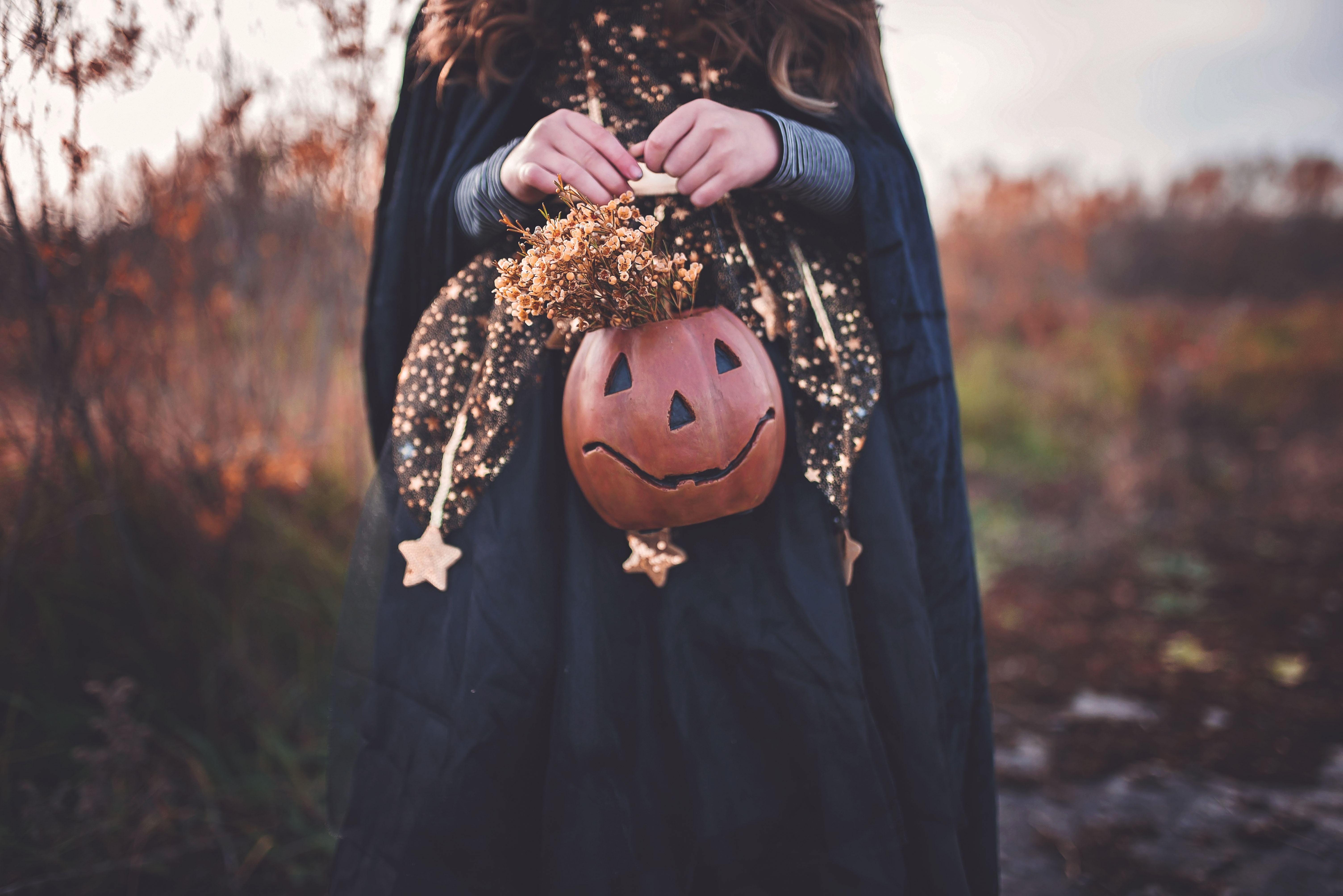 Halloween. (Foto: Unsplash/Paige Cody)