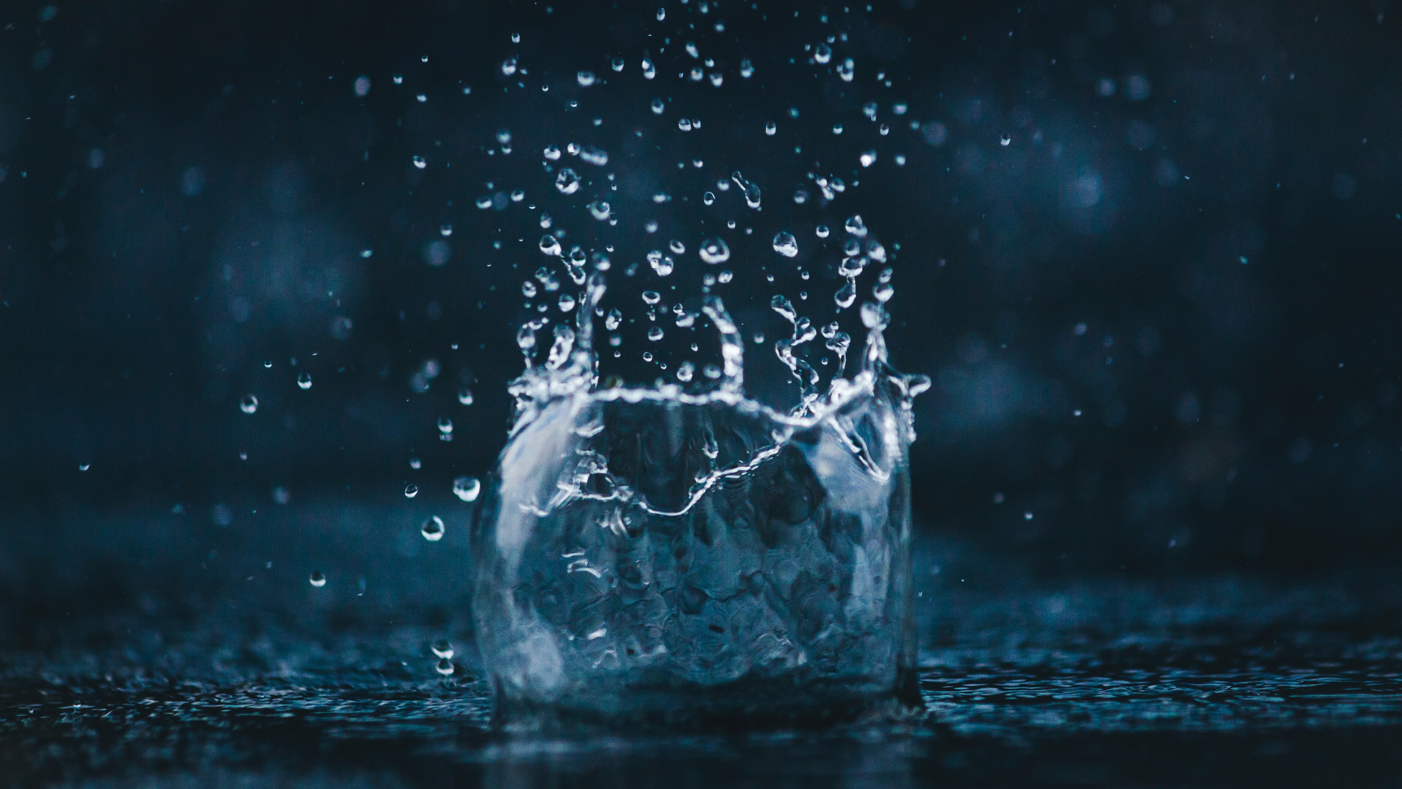 (Foto: Amadej Tauses/Unsplash)