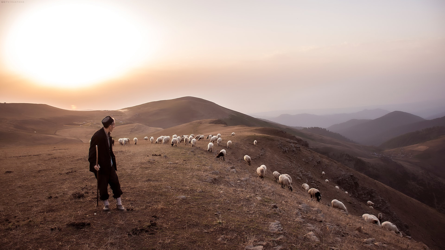 Quais são as características de um pastor? Líder faz reflexão sobre os Salmos 23