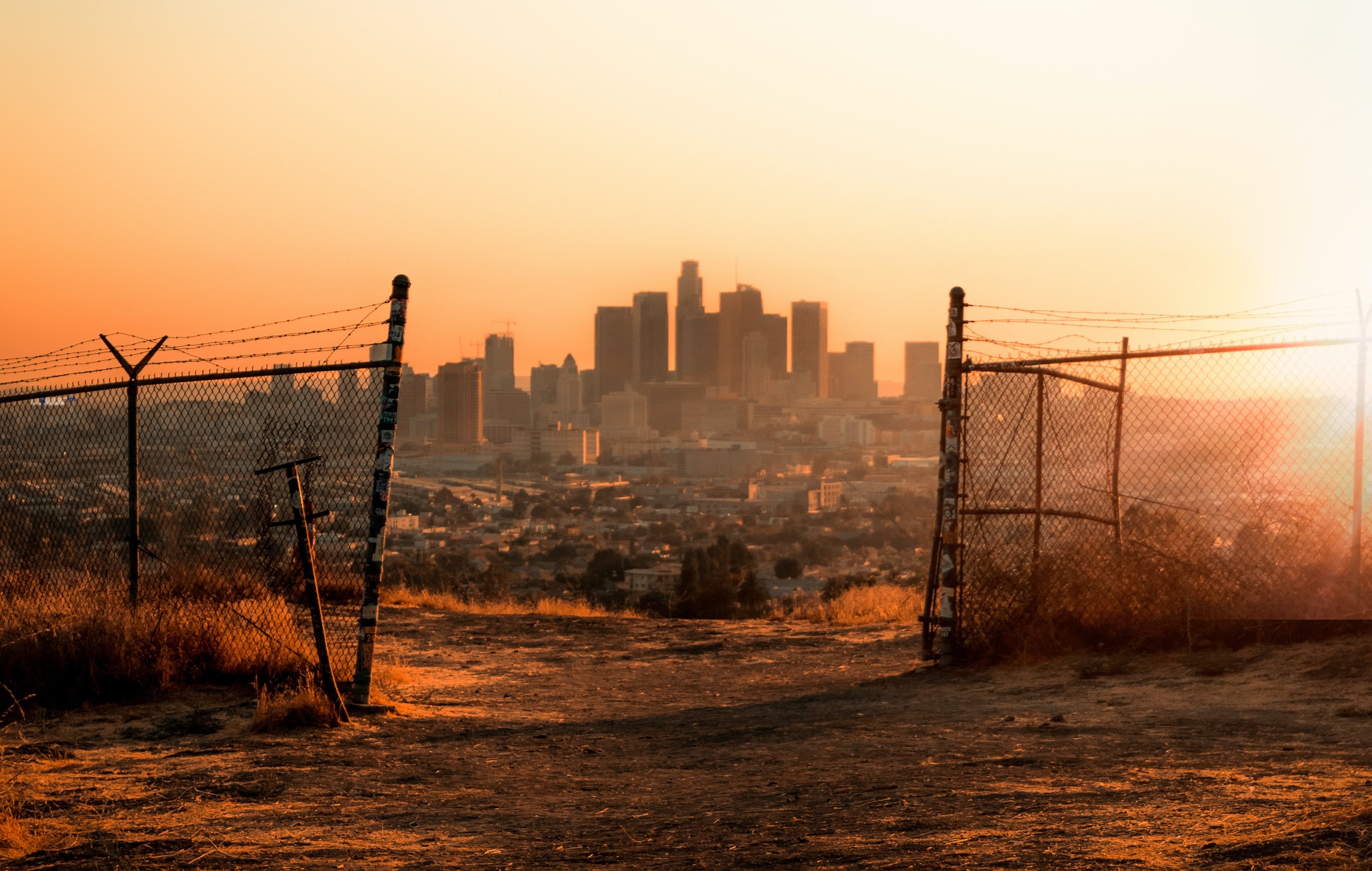 (Foto: Unsplash/Daniel Lincoln) 