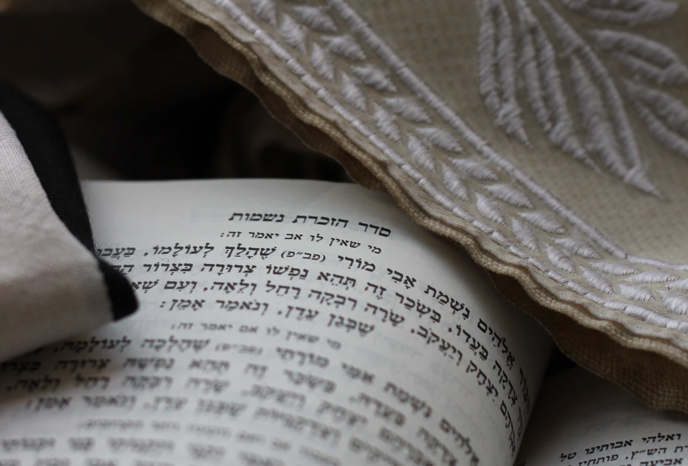 (Foto: Unsplash/Menachem Weinreb)