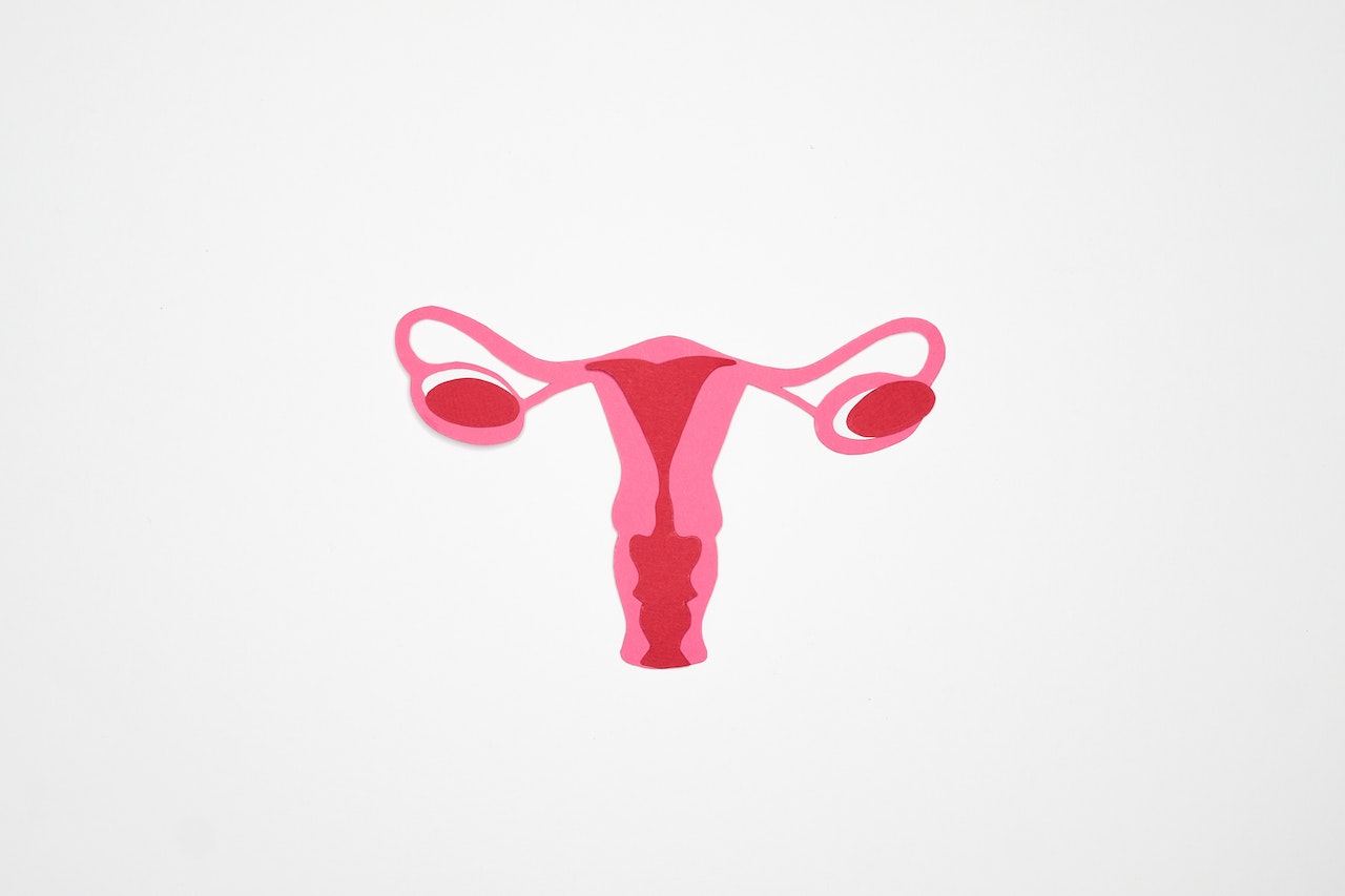 Endometriose: especialista explica os tratamentos da doença 