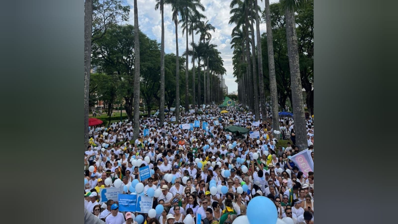 Caminhada pela Vida em Belo Horizonte. (Foto: X/Gustavo Ribeiro).