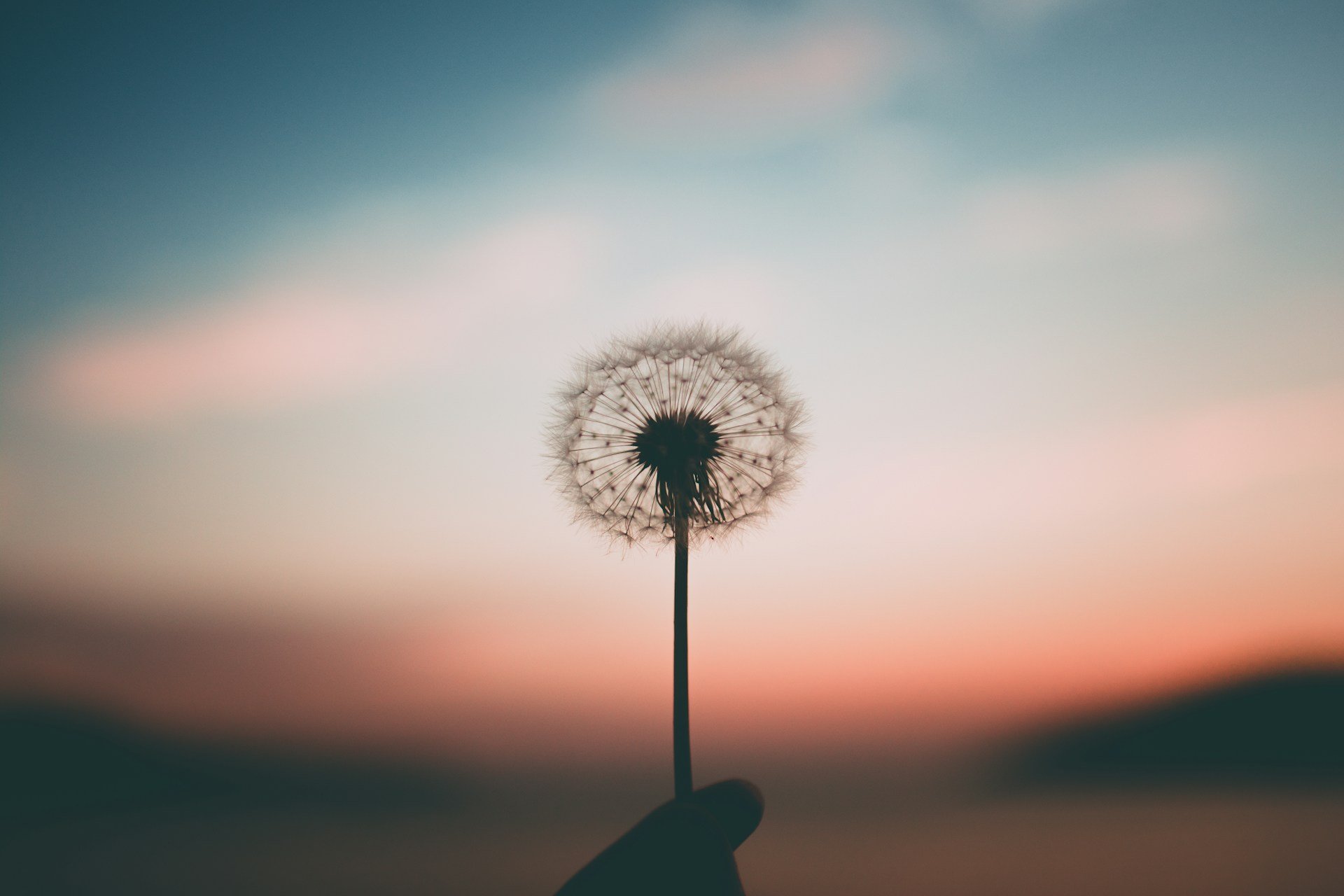 (Foto: Unsplash/Aleksandr Ledogorov)
