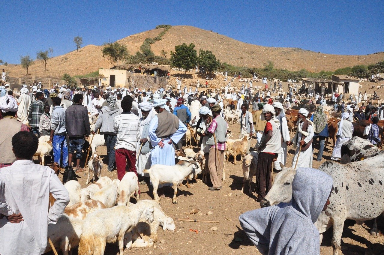 Eritreia: Mais de 200 cristãos foram presos, incluindo crianças