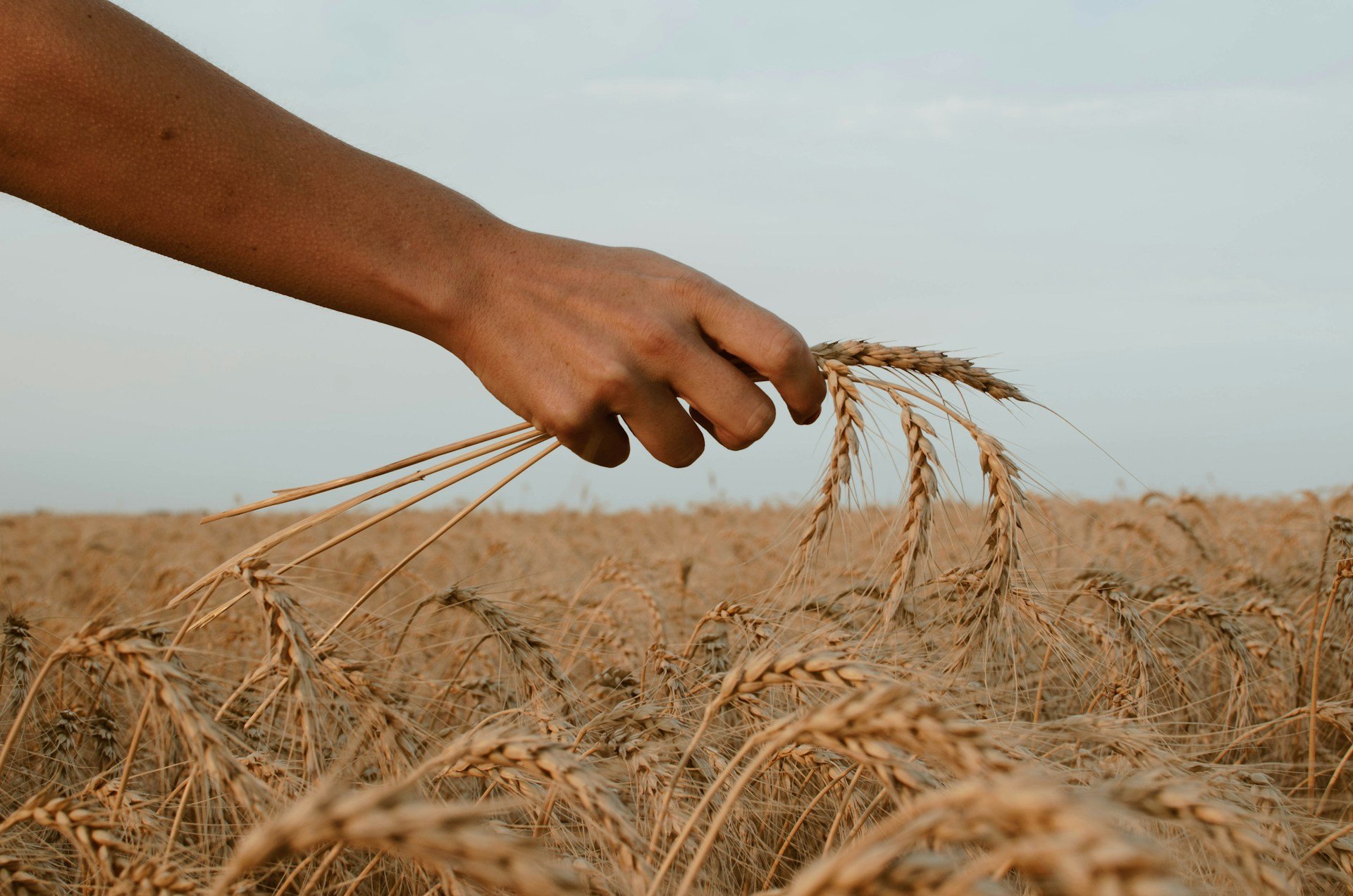 “Não adianta querer frutos de sementes que você nunca plantou”, alerta pastor 