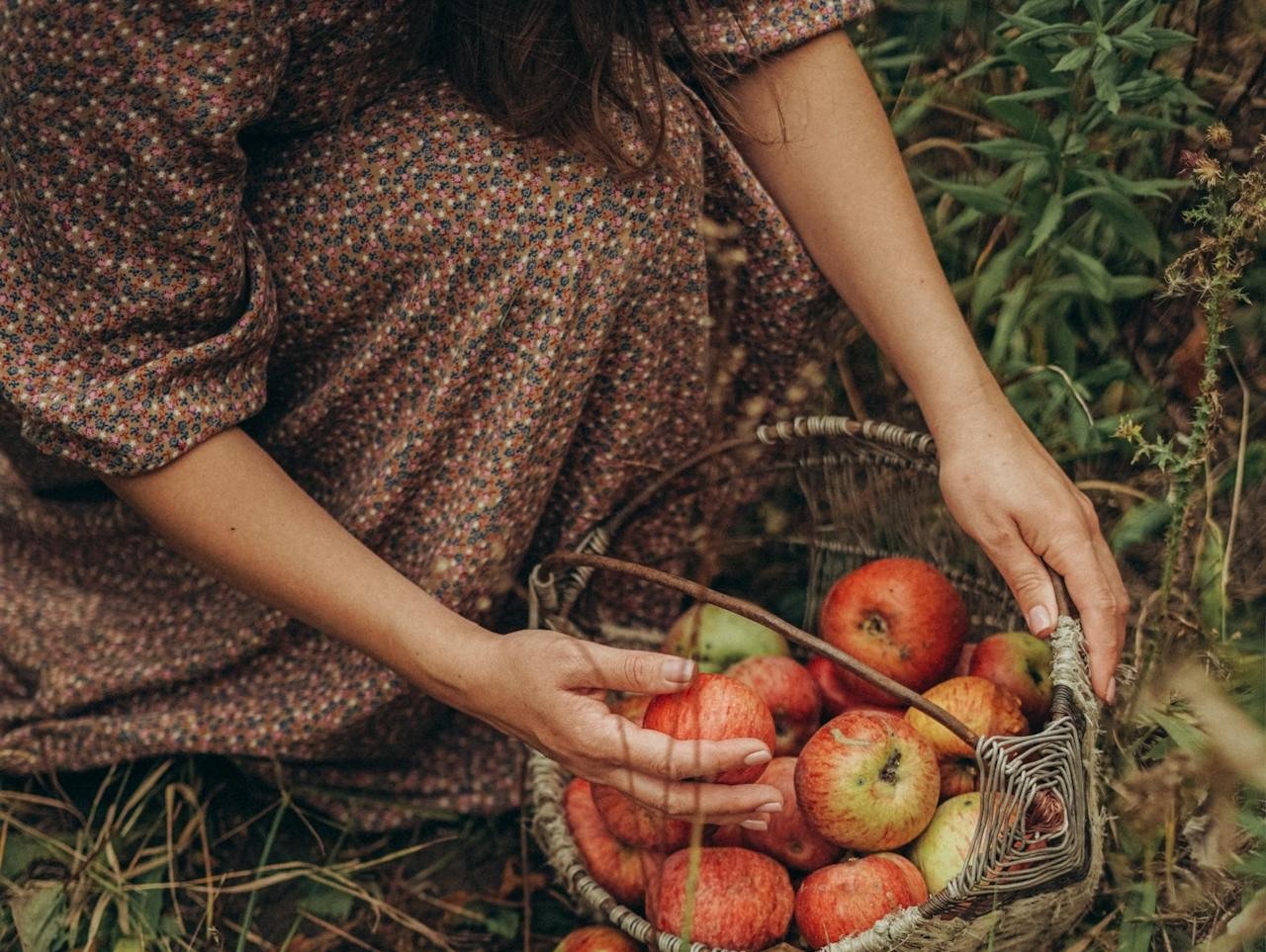 Sua sabedoria pode silenciar a ira e abrir caminhos de paz