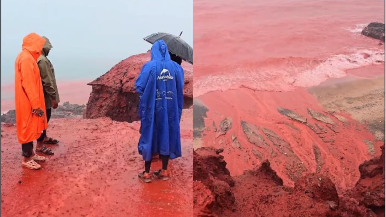 Semelhante à praga bíblica, mar fica cor de sangue em praia no Irã