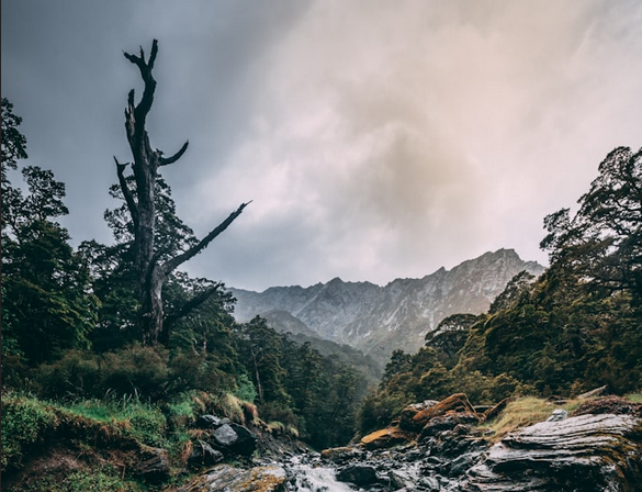 Desvendando o coração de Satanás: O que o Livro de Jó revela – Parte 2