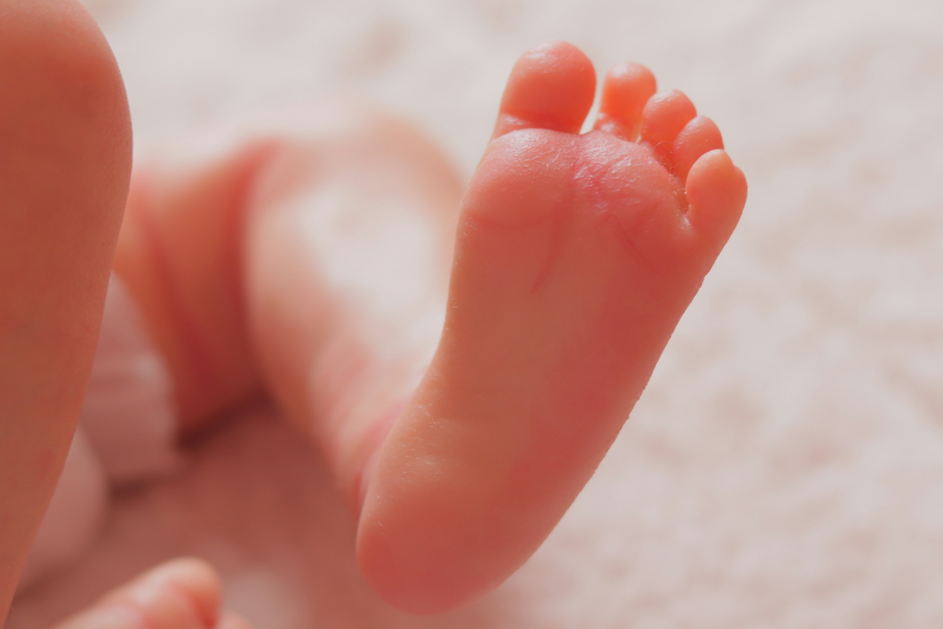 Aborto foi a principal causa de morte no mundo em 2025, com 73 milhões de casos