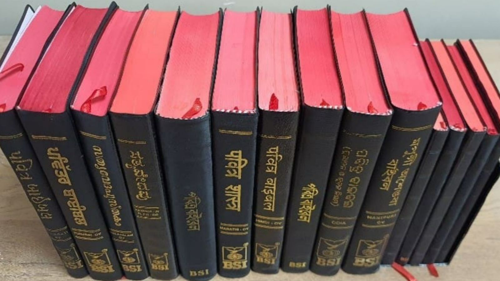 Missão distribui mais de 10 mil Bíblias a cristãos perseguidos na Índia