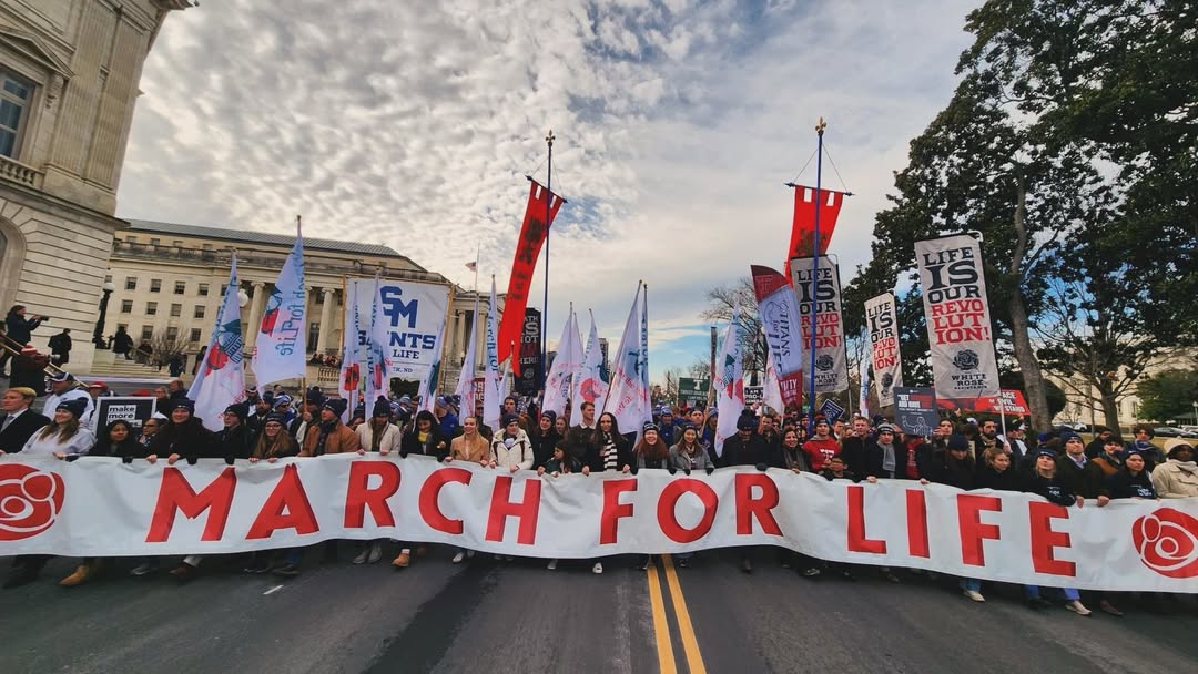 Grupos pró-vida pedem oração às igrejas diante da expansão do aborto na Holanda
