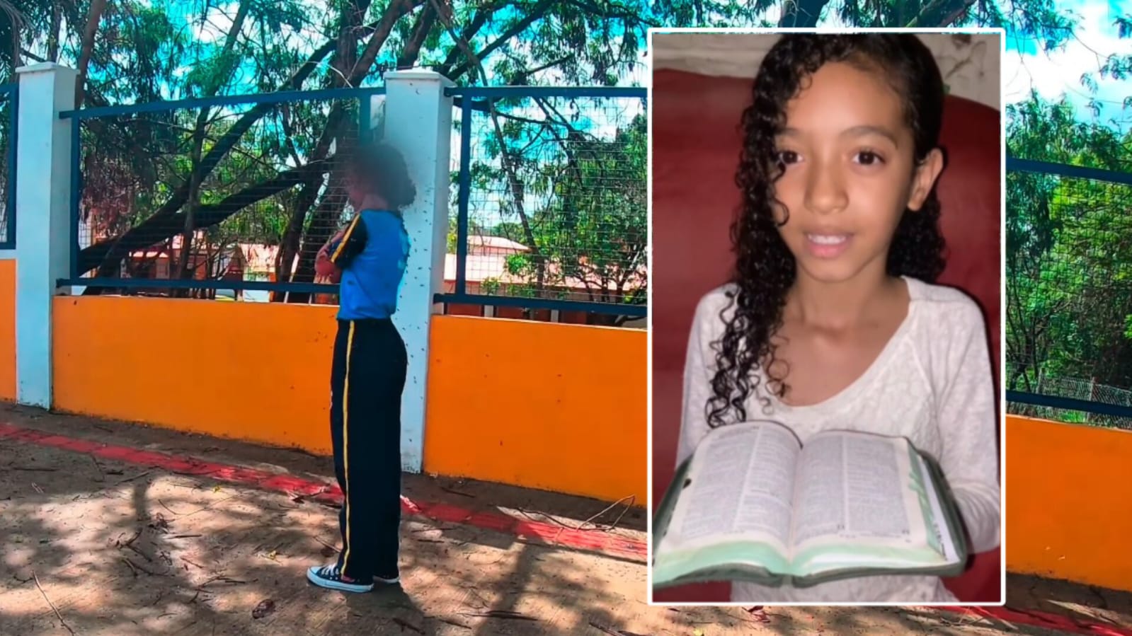 Menina cristã atacada por enxame de abelhas é salva por motoboy em MG